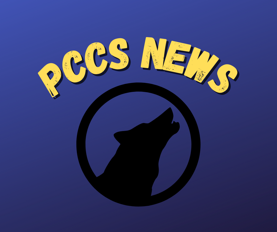 PCCS News